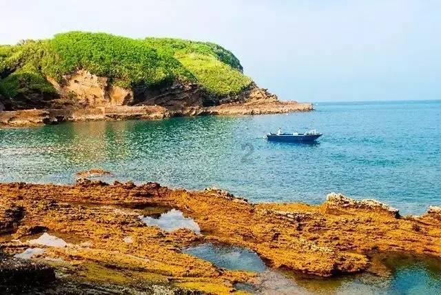 沪江开心词场