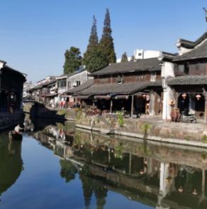 动物帮帮忙保卫家园